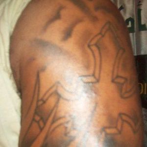 Meet your Posher, Frank